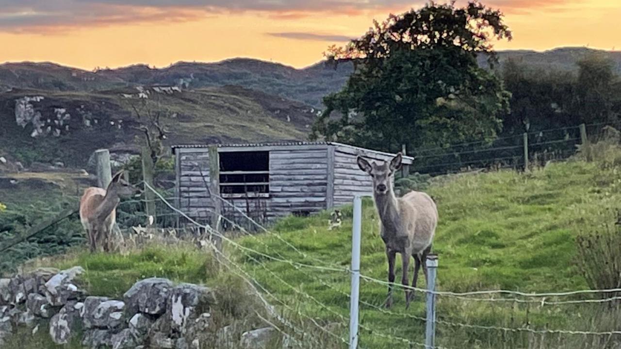 Beautiful Cottage In A Wonderful Highland Setting Drumbeg Esterno foto